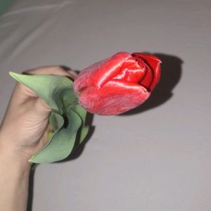 Meet your Posher, Ana